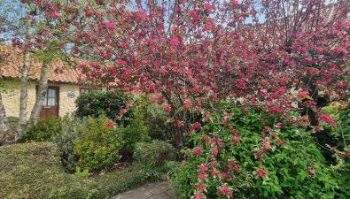 Osprey Meadow Holiday Cottages - Foto 5