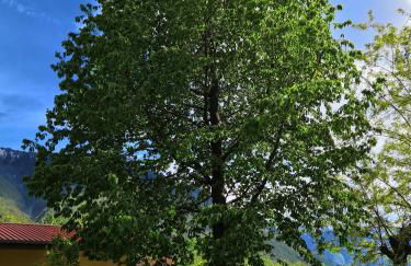 Agriturismo Val Codera - Photo 10