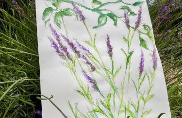 Villa BELVENTO, superbe villa au calme, piscine, vue incroyable ! - Photo 18