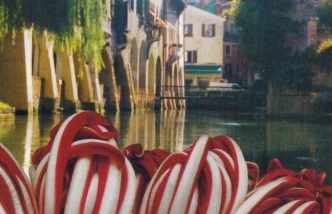 Agriturismo Il Cascinale - Photo 15