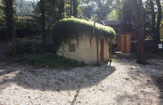 Associação Quinta das Relvas - Foto 41