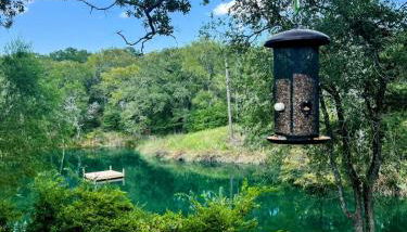 Gated Estate Escape! Three BR - Foto 1