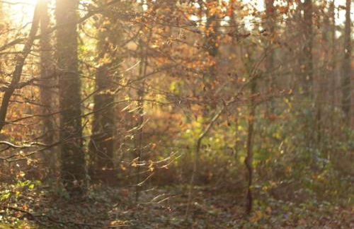 Holiday Home Feike Comfortable Vacation Home - Photo 33