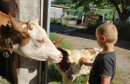 Ferienhof Broger FeWo Bergblickle mit Pool - Foto 31