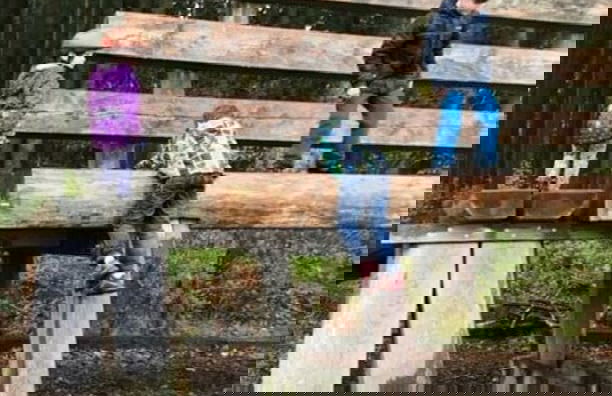 Villa Birrenbach Comfortable Vacation Home - Foto 24