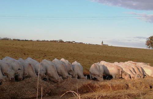 Modern holiday home in Crux-La-Ville with terrace - Foto 70