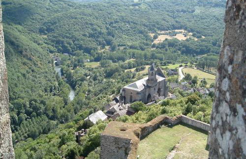 Le paradis des châtaigniers - Photo 5