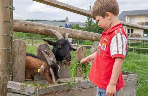 Obst- und Ferienhof Gomeringer - Foto 15