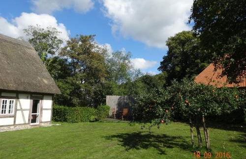 Kate Windeby - Foto 4