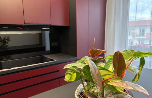 Sapore Dream STUDIO 3 - Foto 22