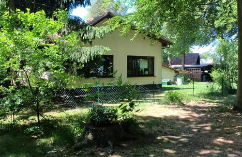 Ferienwohnung Am See mit kleinem Boot und 3er Kajak und 2 SUP - Foto 75