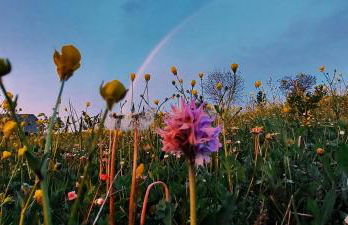 San Isidore - Foto 32