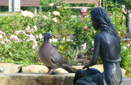 Wohnung Hafenblick, Haus Seeadler Baltrum - Foto 15