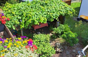 Haus Sonneneck - Foto 20