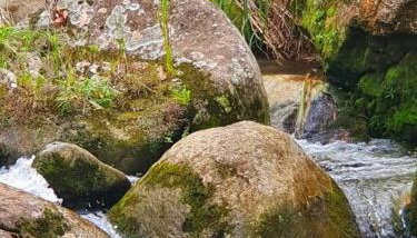 Paraíso na Serra pra Relaxar - Foto 4