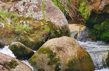 Paraíso na Serra pra Relaxar - Foto 4