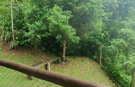 Chalés Alecrim - Foto 8