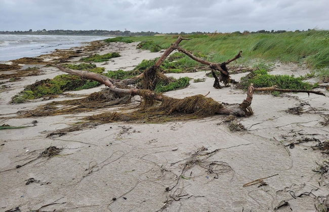 6 Person Holiday Home in Slagelse - Foto 24