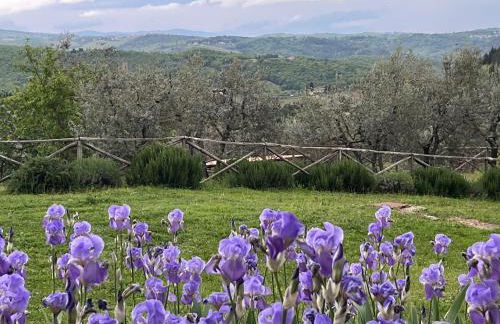 Il Fiorino di Badia - Foto 52