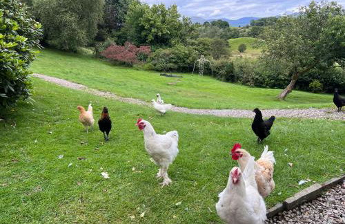 Treeside woodhouse - Foto 9