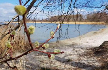 Ferienhaus-Hus-Stine-an-der-Mueritz - Photo 49