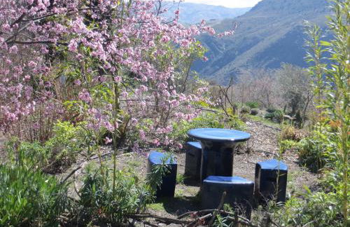 Cortijo Opazo - Foto 6