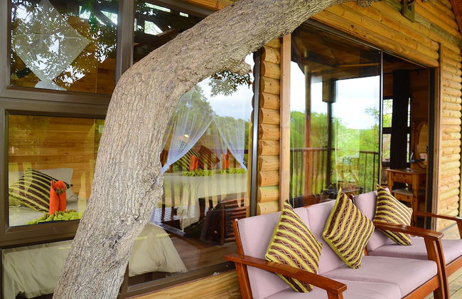 Pezulu Tree House Lodge - Foto 32