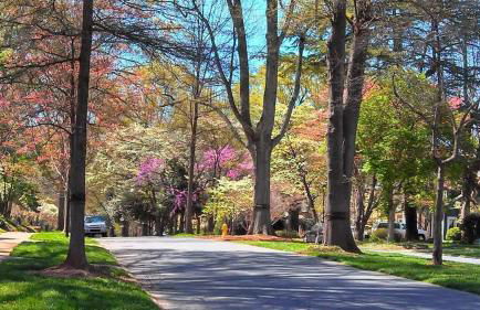 Myers Park Gem Great location - Foto 27