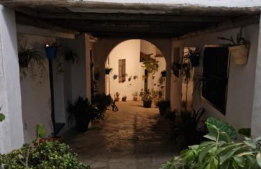 El Pitijopo - Foto 24