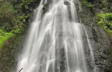 Chalet, Murat (nouveau logement) - Photo 20