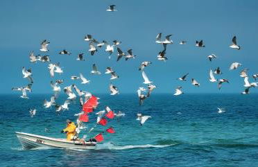 180qm Penthouse mit Sonnenterrasse - Foto 26