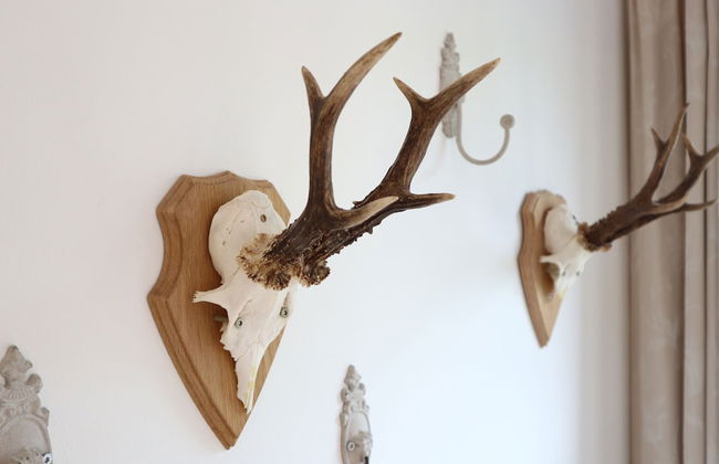 Schellerup Gård - Foto 28