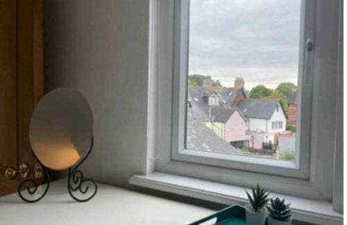 The Regal - Photo 10