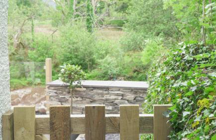 Glanafon Cottage - Photo 15