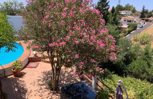 Apartment Casa Casandra , Urbanisation Dona Pilar - beautiful, peaceful & tranquil - Photo 31