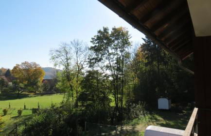 FeWo mit Balkon direkt am Wald und Wanderweg Ruhe pur 2 OG - Foto 8