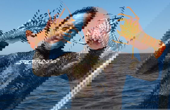 Melkbos Seagulls Lapa - Foto 16