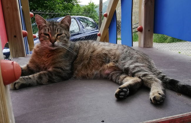 Agriturismo Grotta Dell'Eremita - Photo 51