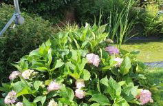 Ferienhaus Korn mitten im schönen Pfälzer Wald, Privat Haus - Foto 7