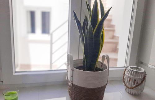 Casa Los Titos - Foto 13