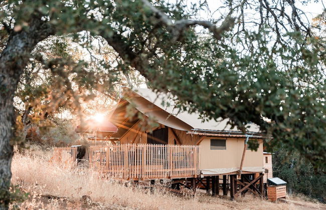 Huttopia Wine Country - Foto 2