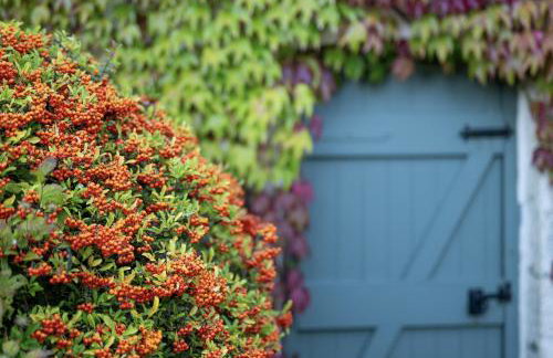 Gatekeepers Cottage - Photo 31