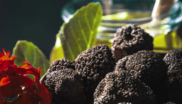 Tour gastronomico dell'Istria