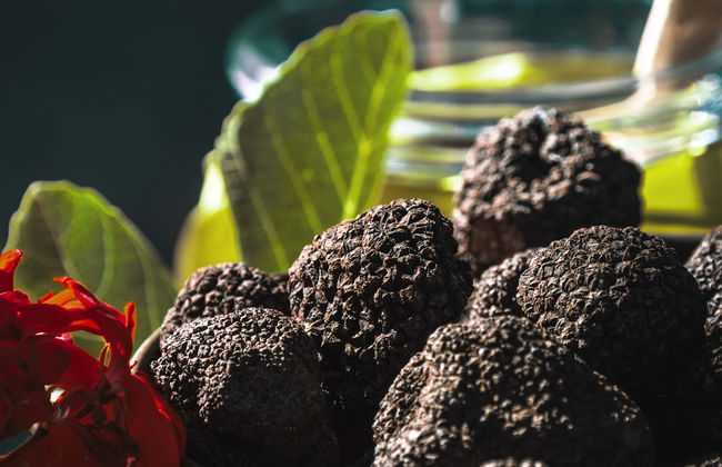 Visite gastronomique d'Istrie - Photo 4