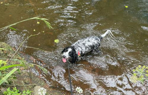 The Old Mill Annexe - Foto 63