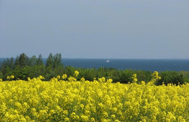 Ground-floor Getaway With Garden - Foto 30