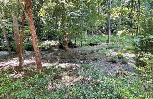 Mary's Place - Studio surrounded by nature but close to High Point - Photo 21