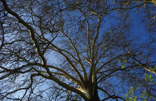 Moulin De Coupigny - Foto 77