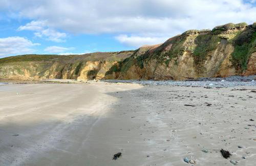 Nyth Y Wennol - Foto 23