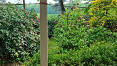 Waldhaus Dötlingen Ferienhaus im Naturpark - Foto 5, Garden view